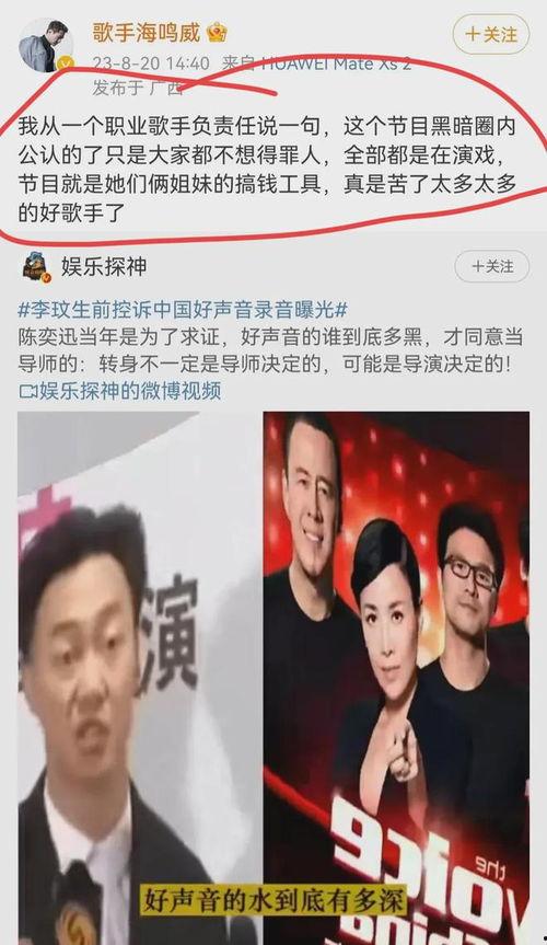 好声音导演爆料视频,幕后故事与精彩瞬间大曝光